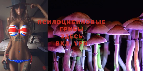 марки nbome Алексеевка