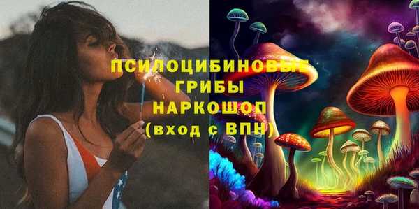 эйфоретик Алексин