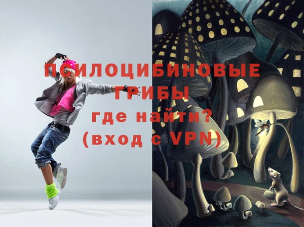 эйфоретик Алексин