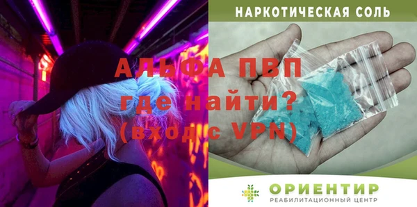 прущие грибы Алзамай