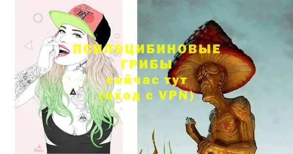 эйфоретик Алексин