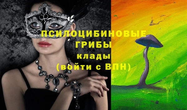 эйфоретик Алексин