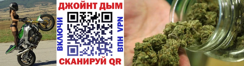 Купить где Изобильный Бошки Шишки SATIVA & INDICA